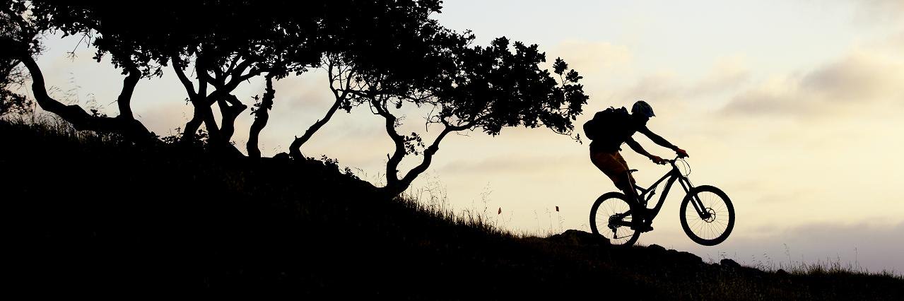 stevebehr's profile banner image