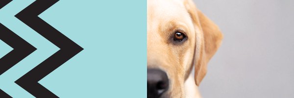 GuideDogsSANT Profile Banner
