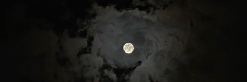 lv_v12's profile banner image