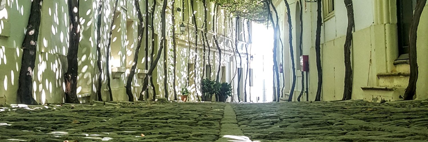 🅃🄸🄽🄾🄲🄾 ツ banner