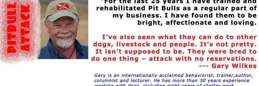 Pit_Bull_Attack's profile banner image