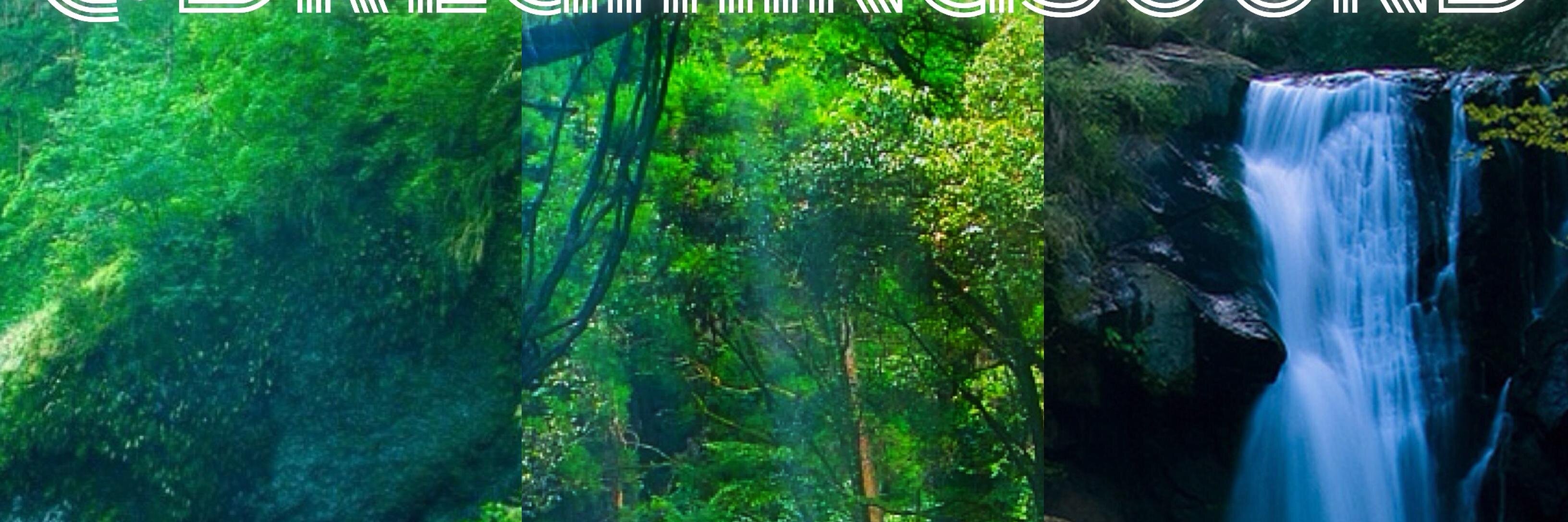 Dreaming Sound banner