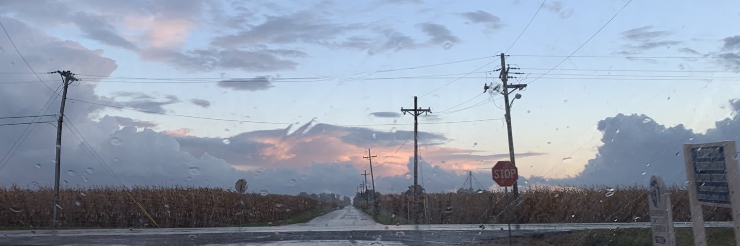 tay_willy's profile banner image
