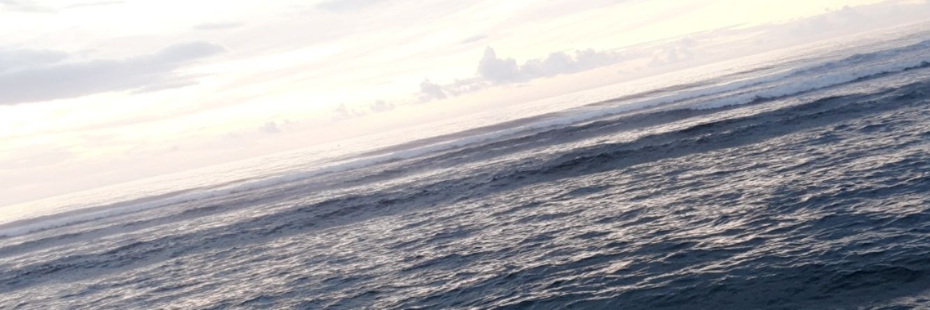 Alexxpato974's profile banner image