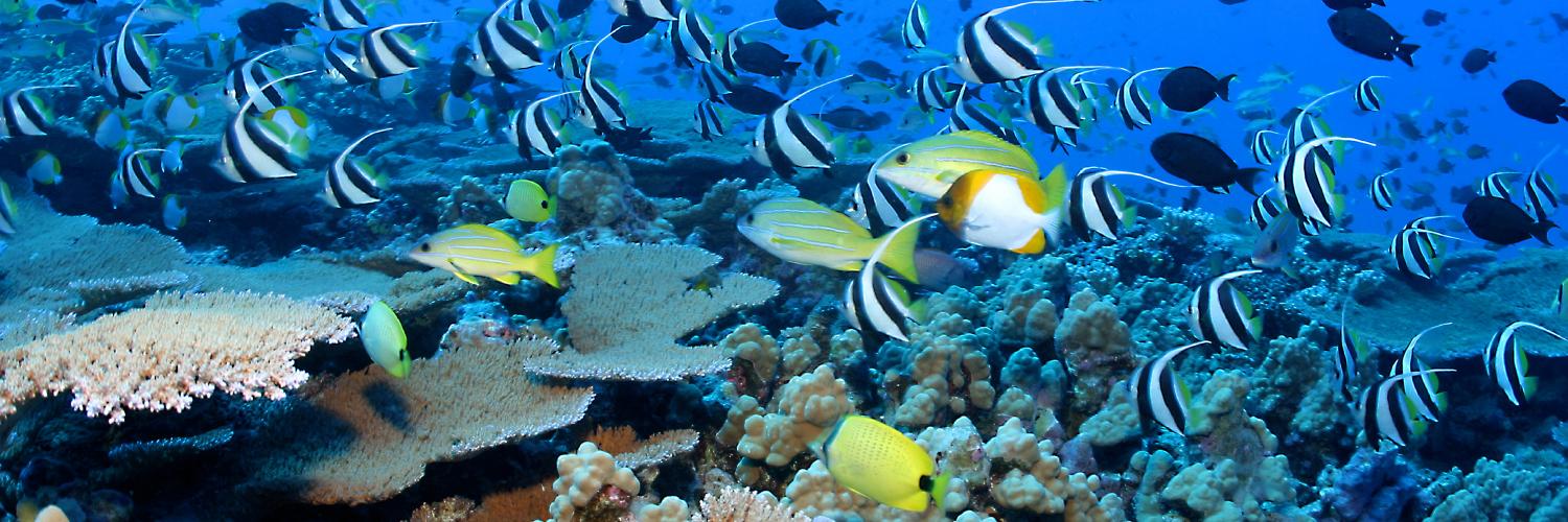 Acuario Nacional RD banner