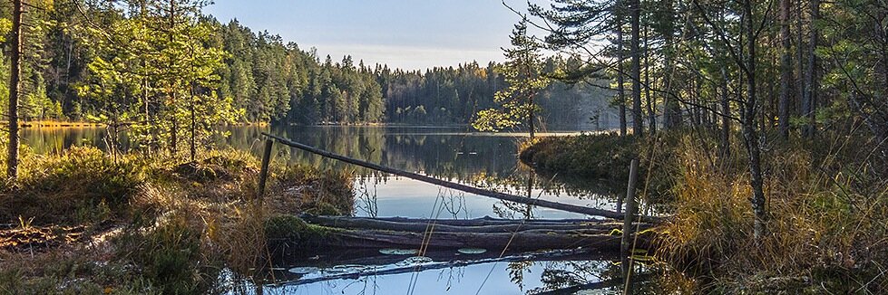Bodom Trail banner