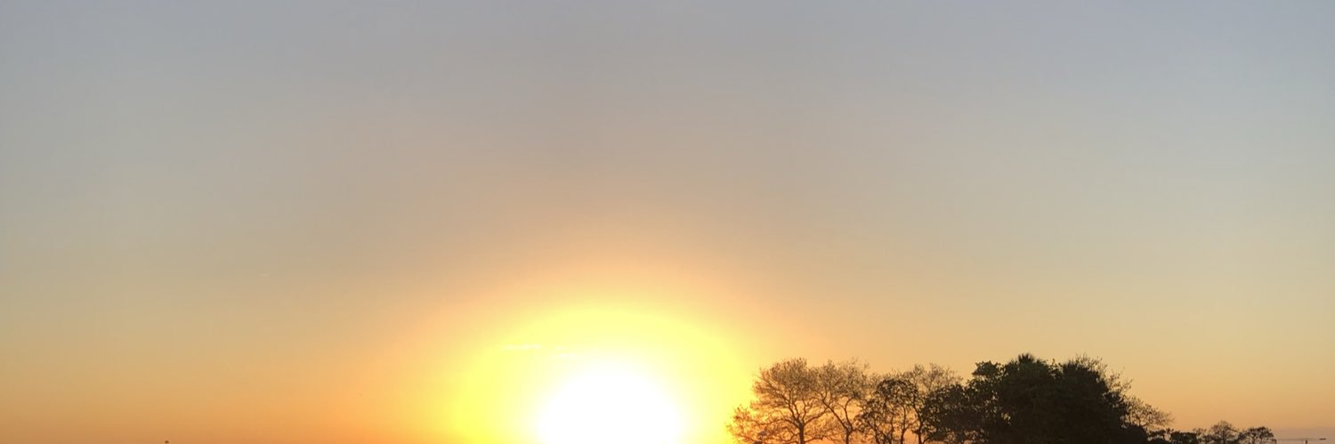 rivie1's profile banner image