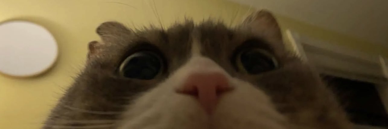 da_big_dorito's profile banner image