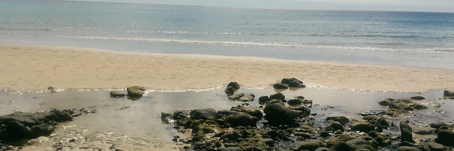 iaj81's profile banner image