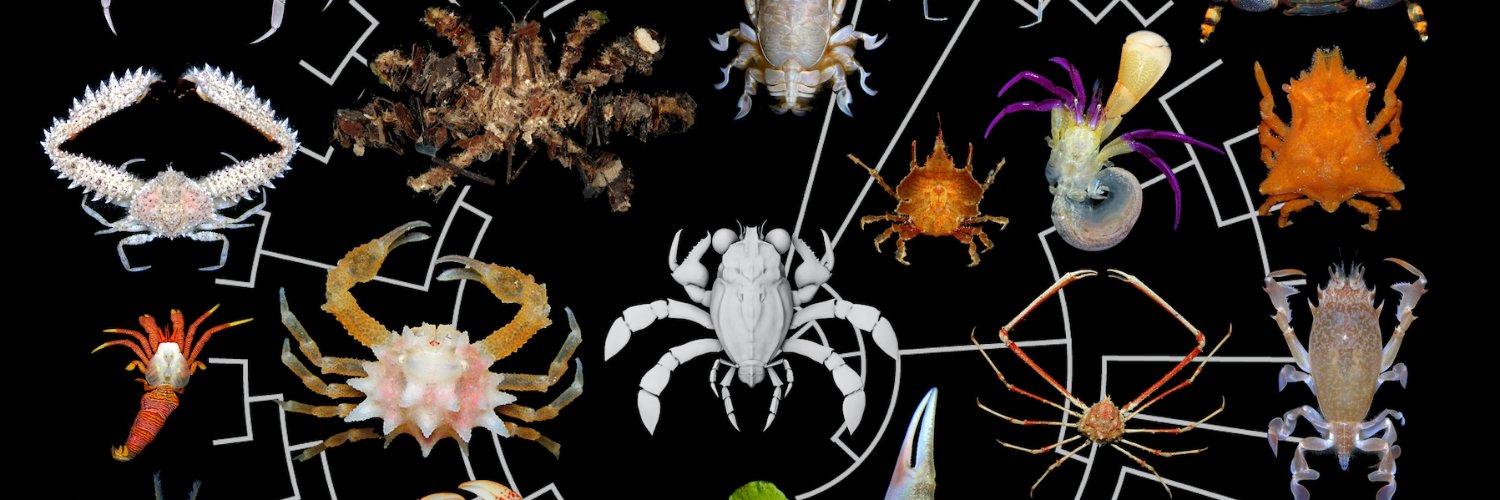 JaviPaleobio's profile banner image