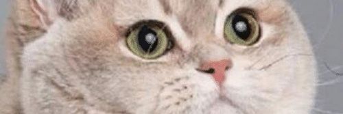 LouisR111's profile banner image