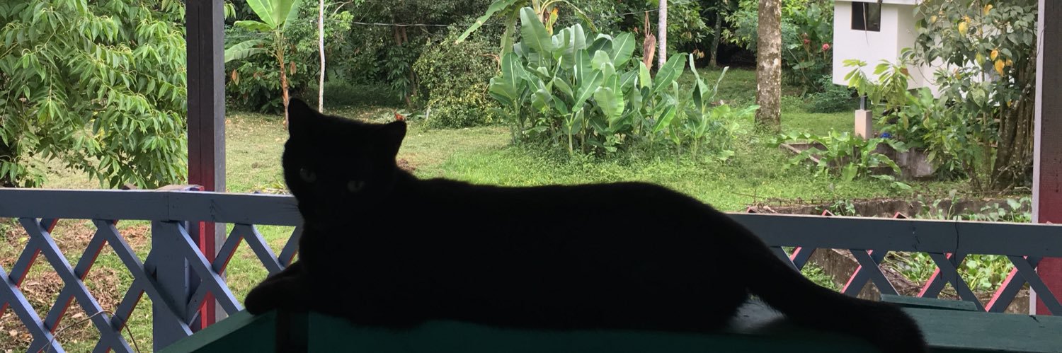 Rodavlas333's profile banner image