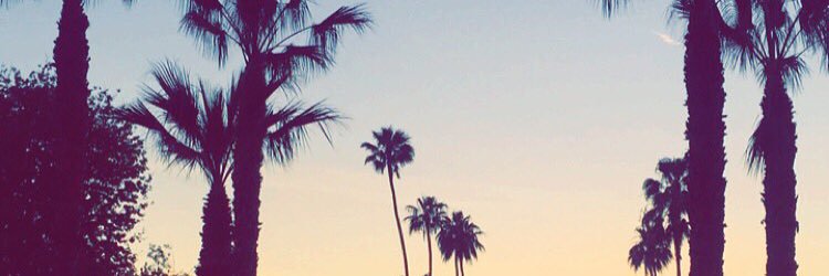 FrancescaBeee's profile banner image