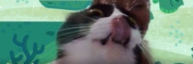 _rafaelis's profile banner image