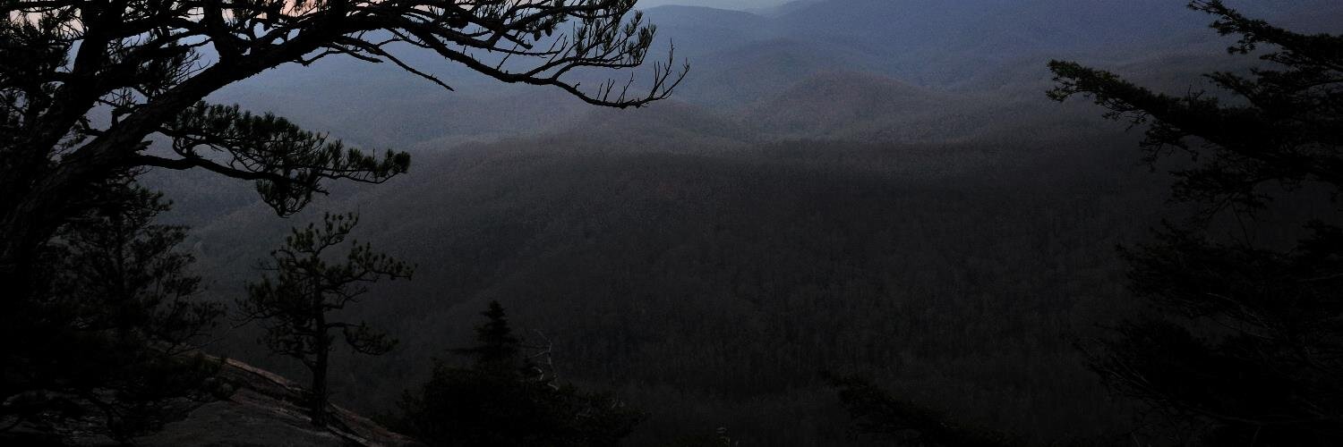 Lizzy_aMac's profile banner image