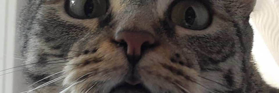Tobinify's profile banner image