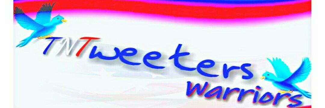 TNTweetersIL's profile banner image