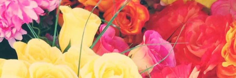 DaraMaley's profile banner image