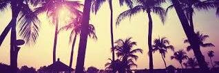 mariesele18's profile banner image