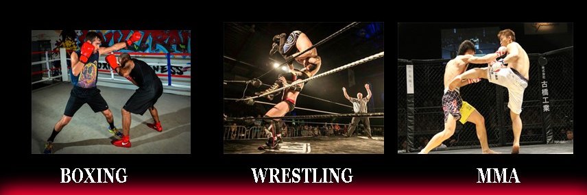 MonsterRingsAndCages banner