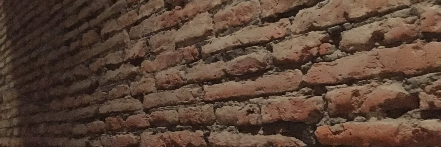 mserventich's profile banner image