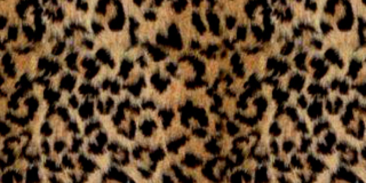 MichelleMorocco's profile banner image
