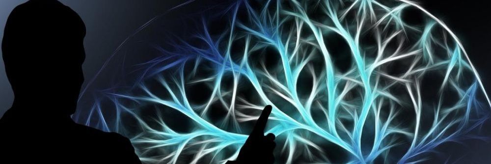 brain_trade_X's profile banner image