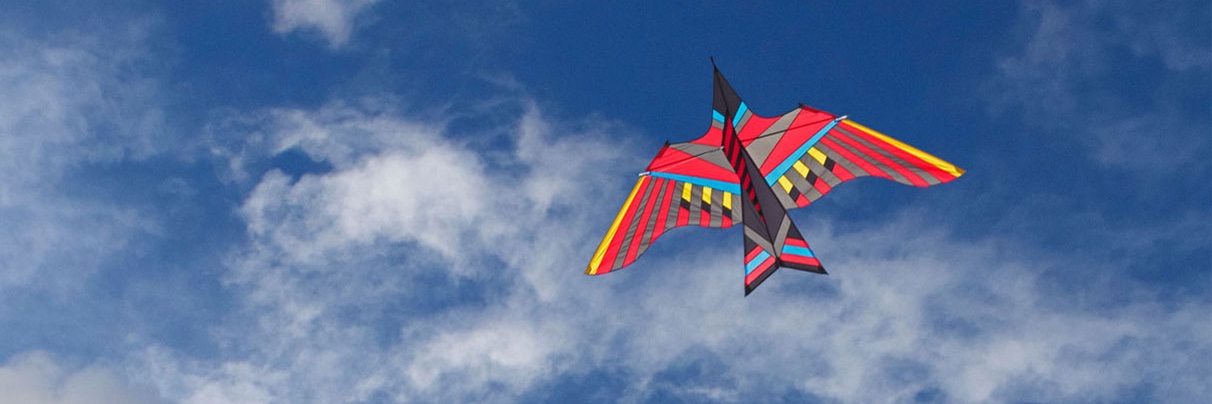Kasleder's profile banner image