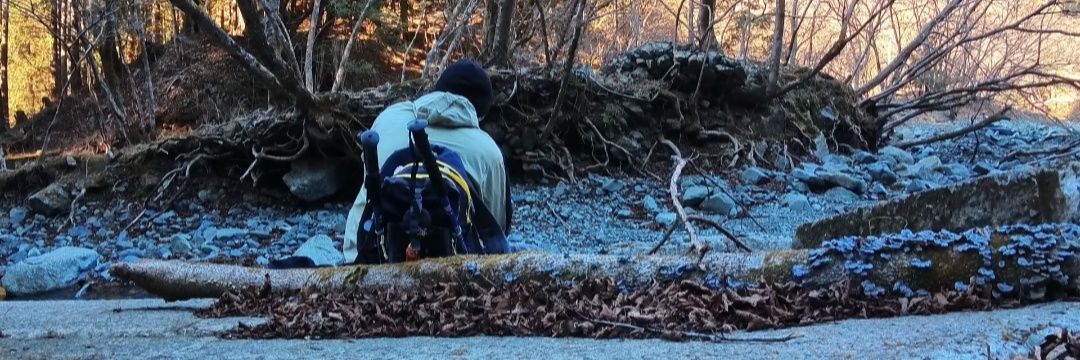 pikachudebigode banner