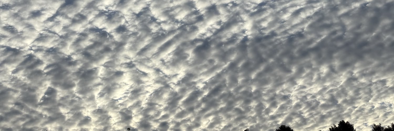 isamut3232's profile banner image