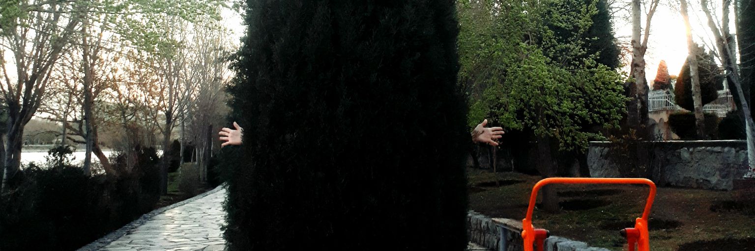 mrymjes's profile banner image