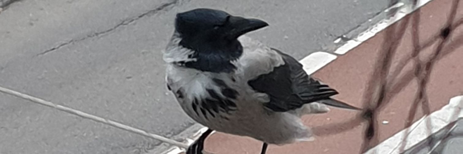 ItBDead's profile banner image