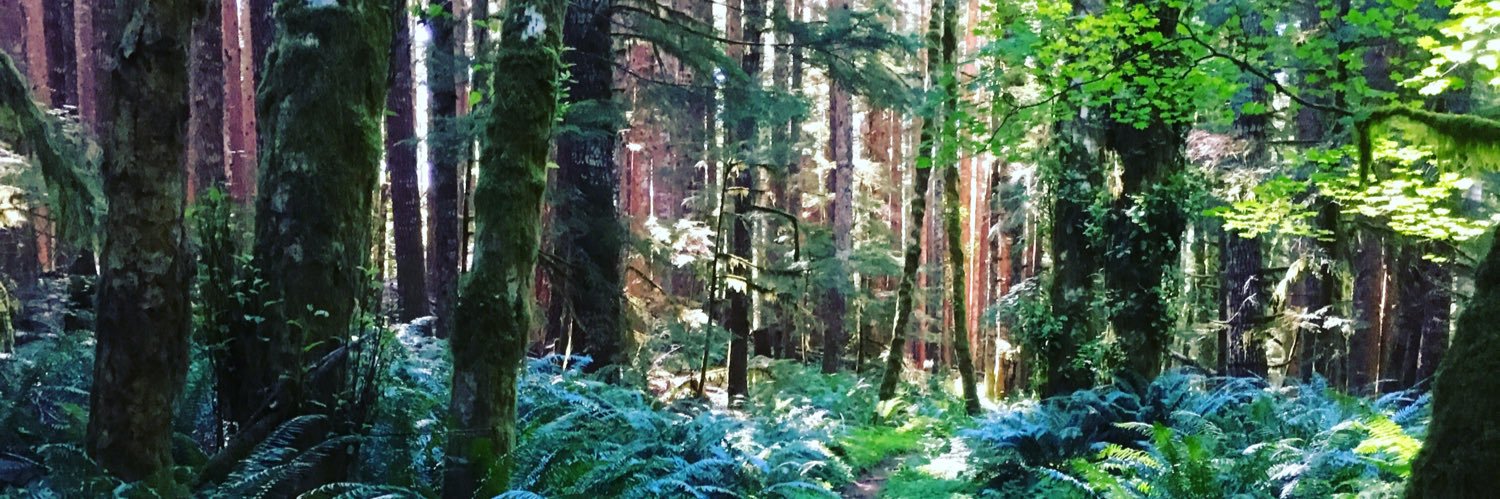 cottagewoman's profile banner image