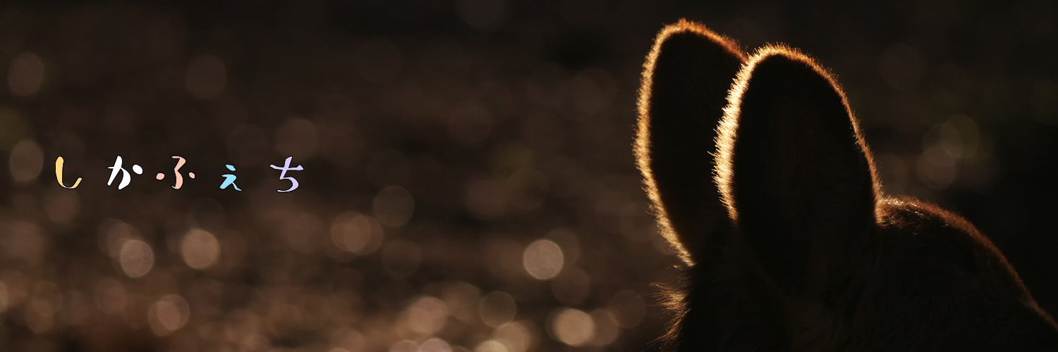 naraphoto2010's profile banner image