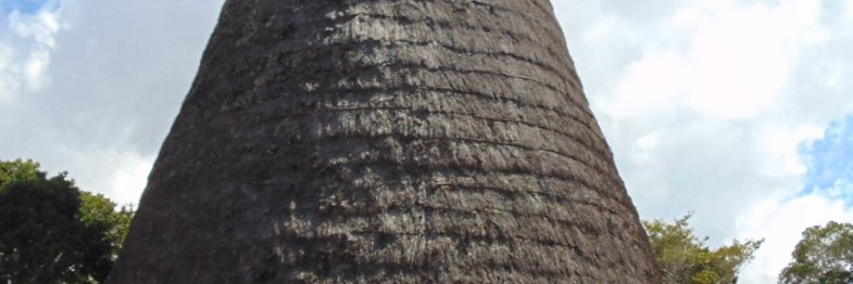 Forrest Mickael  banner