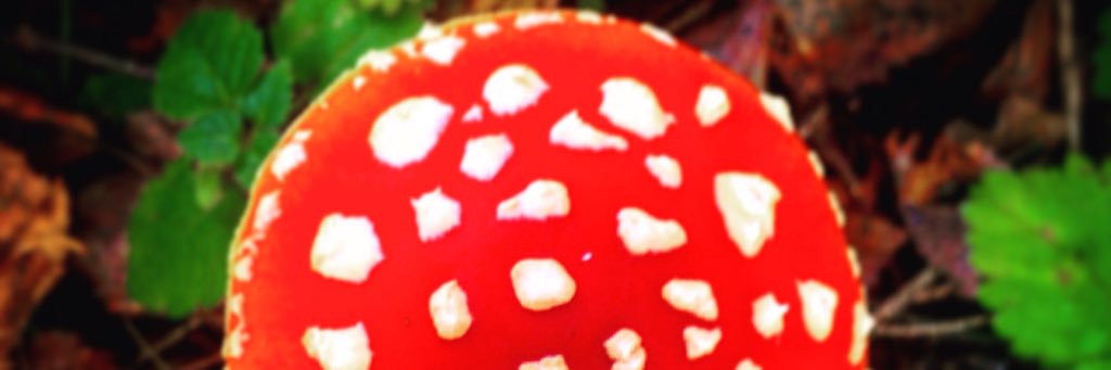 rrrseny's profile banner image