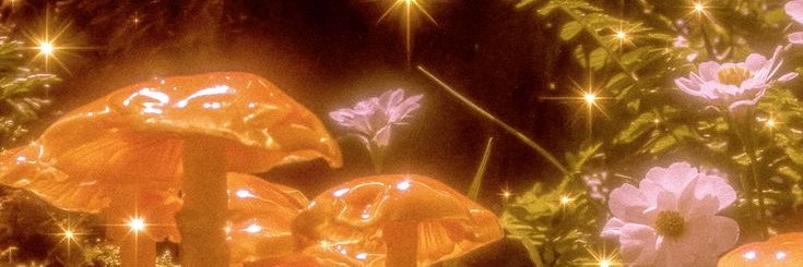 kaiisora4's profile banner image