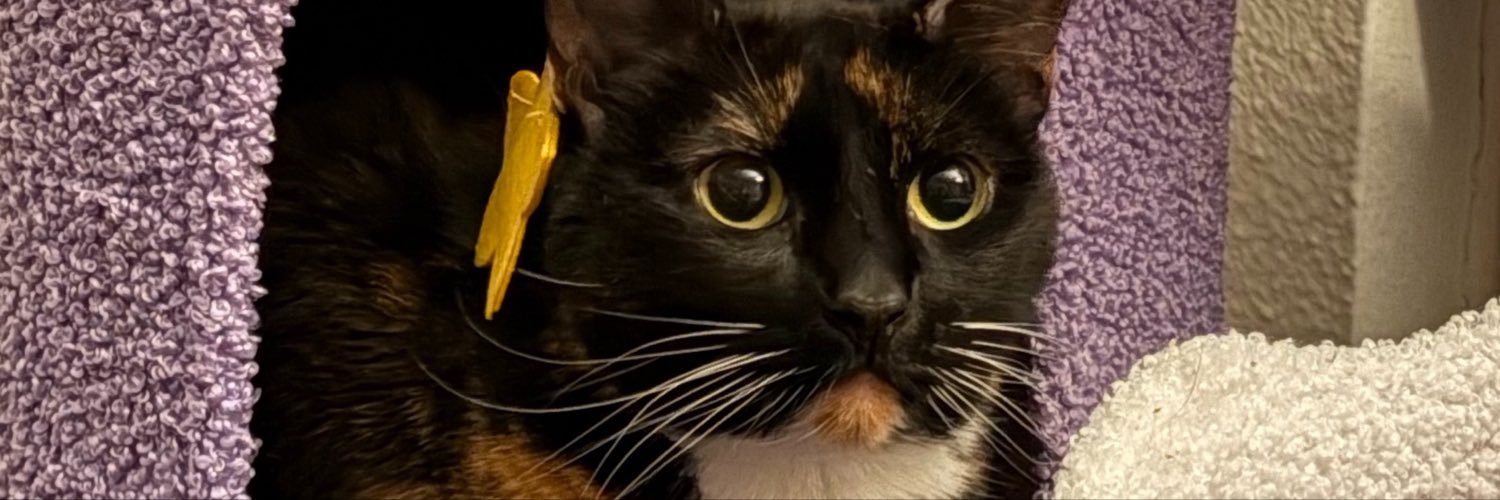 idontcarrington's profile banner image