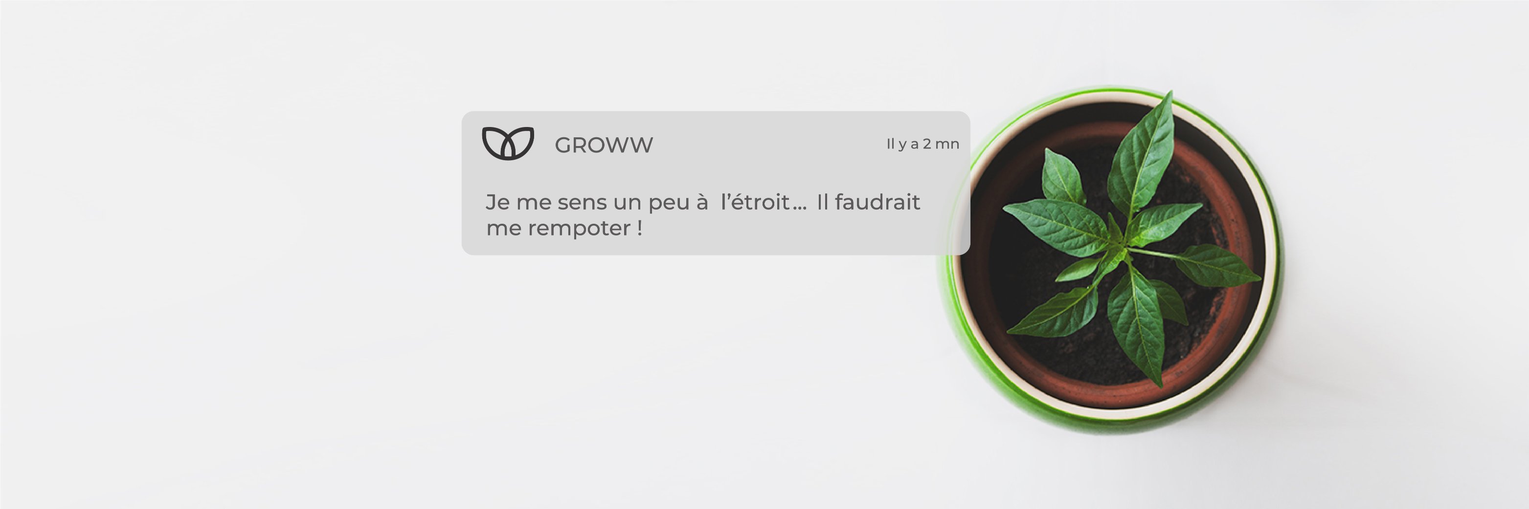 groww_app's profile banner image
