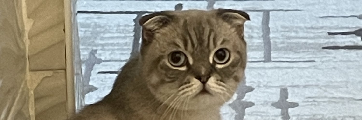 sonkaare's profile banner image