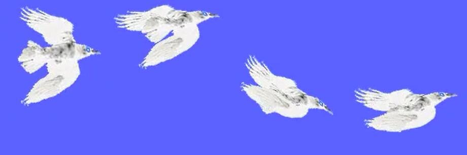 WhiteRavenUk's profile banner image