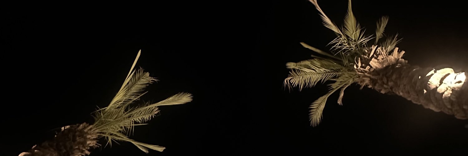 XDISAMI's profile banner image