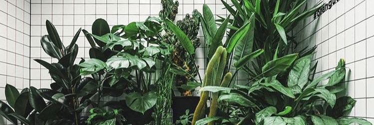 LaceyWard_'s profile banner image
