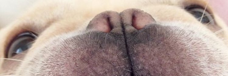 AlstonLybolt23's profile banner image