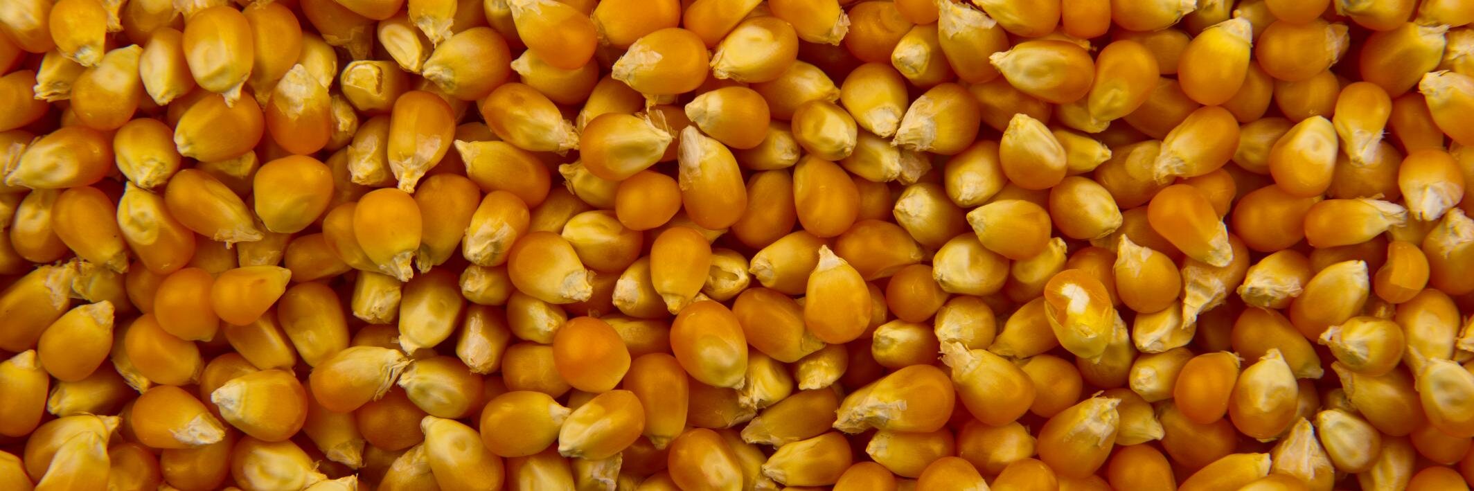 twopcorn's profile banner image