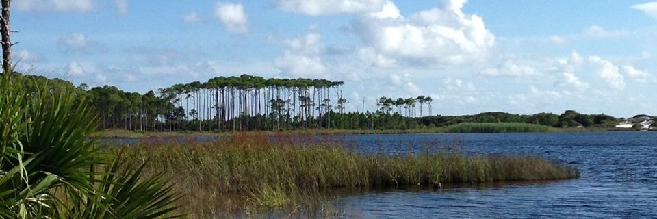 Dr. Lorna Salgado banner