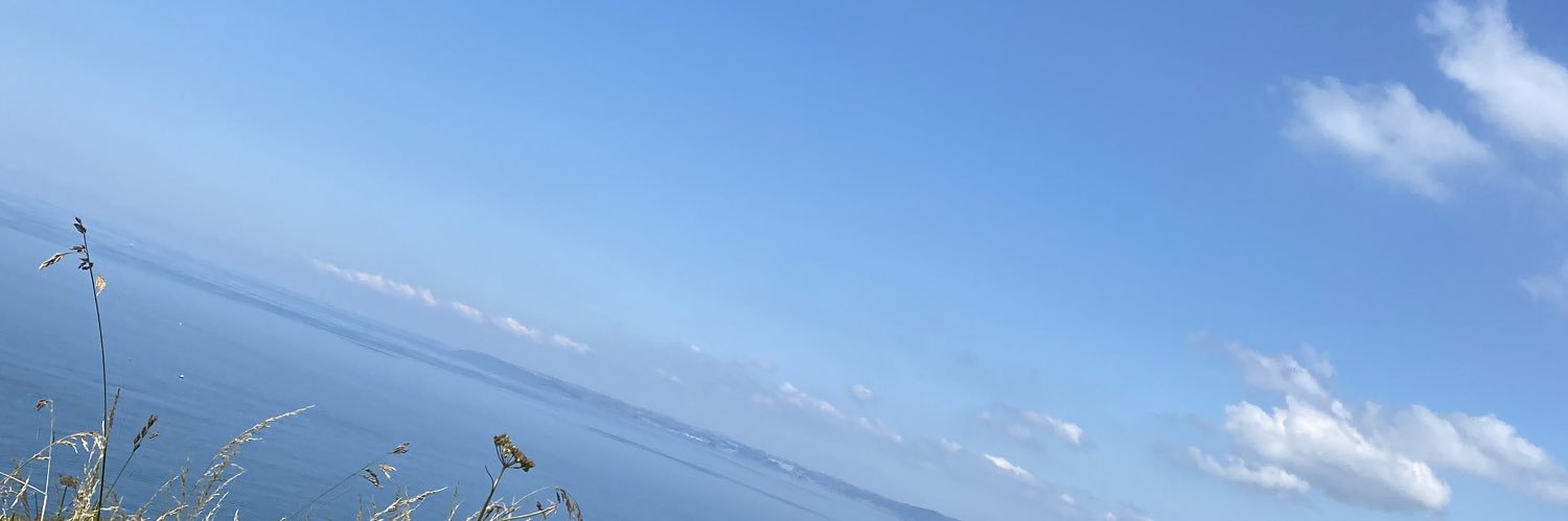 meghvnbrown's profile banner image
