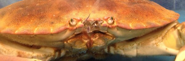 davidwitts16 Profile Banner