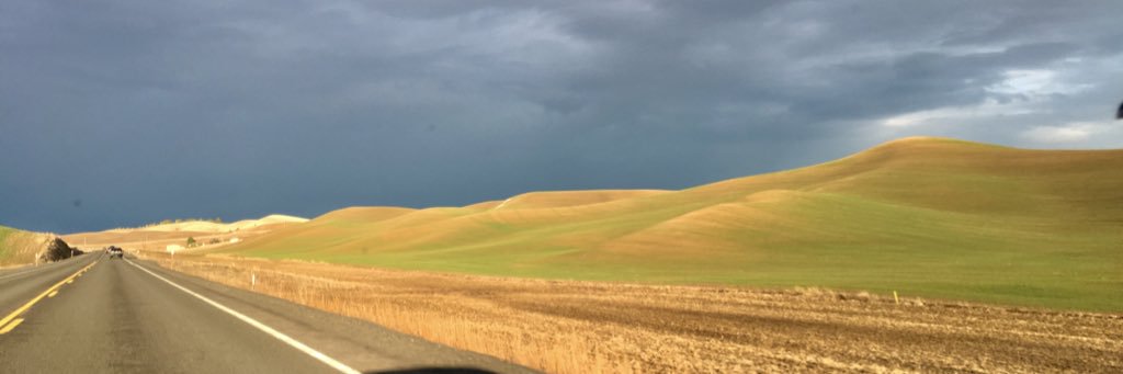ShelbyHeim's profile banner image
