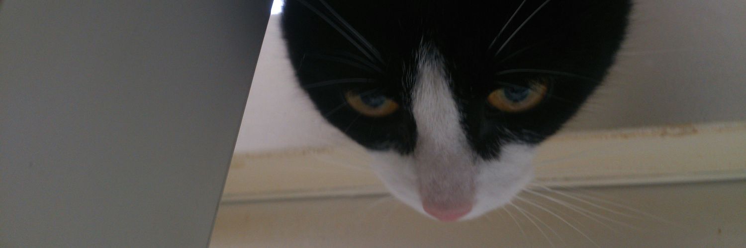 Geoff banner